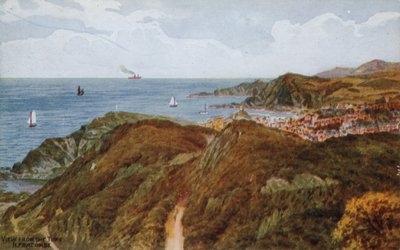 Vista dai Tors, Ilfracombe da Alfred Robert Quinton